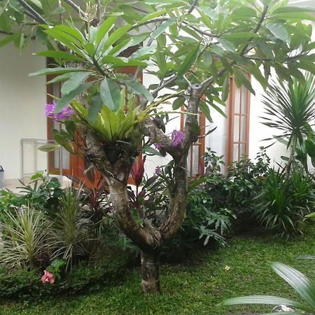 Jepun Bali Homestay Sanur Exterior foto